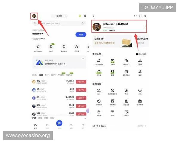 Stake.com中文平台全面解析与注册指南详解