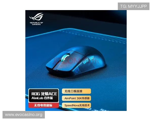 MK体育平台全新体验解析与精彩赛事动态全面指南