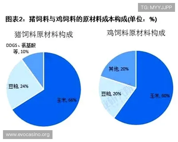 以新利体育为核心解析其发展优势与行业影响及未来趋势展望分析研究篇