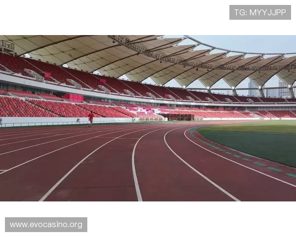 以牛牛体育为核心打造全新体育资讯与赛事分析平台升级解读解析版